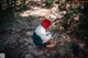 A woman sitting on a rock in the woods looking at her phone.